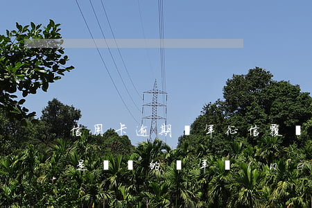 信用卡逾期兩年征信覆蓋(征信的信用卡逾期是記錄的兩年內(nèi)的嗎)
