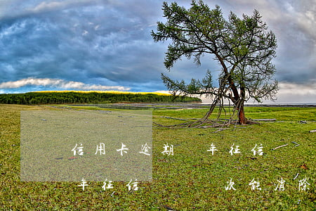 信用卡逾期兩年征信記錄幾次(信用卡逾期兩年征信記錄幾次能消除)