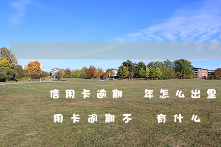 信用卡逾期兩年怎么出里(兩個(gè)月信用卡逾期不還有什么結(jié)果)
