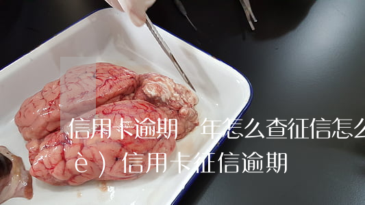 信用卡逾期兩年怎么查征信(怎么查哪個(gè)信用卡征信逾期)