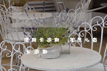 信用卡逾期兩年怎么查額度(怎么查哪張信用卡逾期)