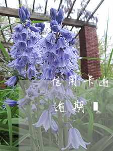 信用卡逾期兩年怎么算(超過兩天還信用卡算逾期嗎)