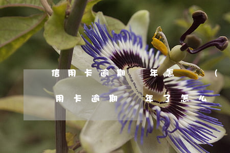 信用卡逾期兩年怎樣協(xié)商還款(信用卡逾期幾年了怎么協(xié)商還款)