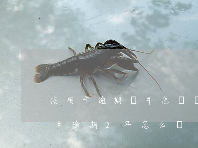 信用卡逾期兩年怎樣滾動(dòng)(信用卡逾期2年怎么辦)