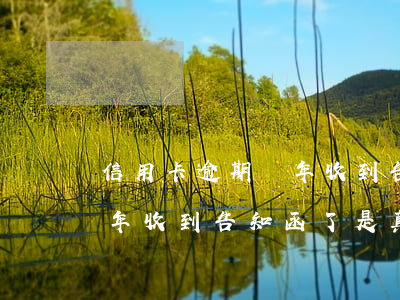 信用卡逾期兩年收到告知函了(信用卡逾期兩年收到告知函了是真的嗎)