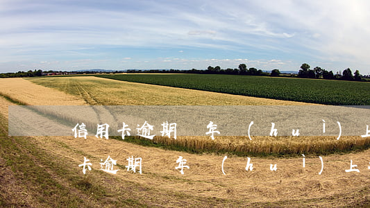 信用卡逾期兩年會(huì)上征信么(信用卡逾期兩年會(huì)上征信么嗎)