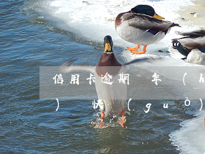 信用卡逾期兩年會(huì)上門(mén)嗎(快過(guò)年了信用卡逾期會(huì)上門(mén)嗎)