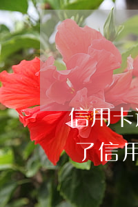 信用卡逾期兩年會(huì)被通緝嗎(被抓了信用卡逾期)
