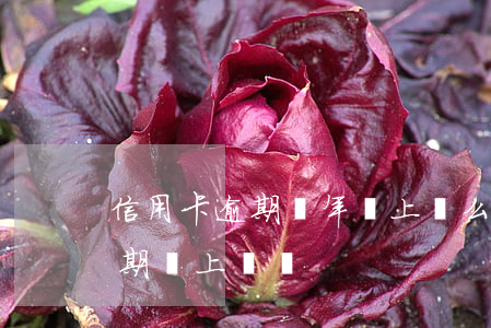 信用卡逾期兩年會上門么(快過年了信用卡逾期會上門嗎)
