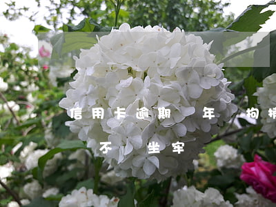 信用卡逾期兩年會拘捕么(信用卡逾期兩年了會不會坐牢)