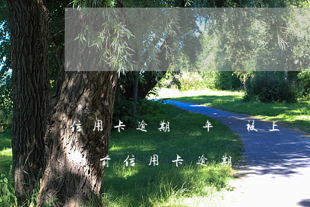 信用卡逾期兩年會被上報(bào)失信(三年前信用卡逾期)