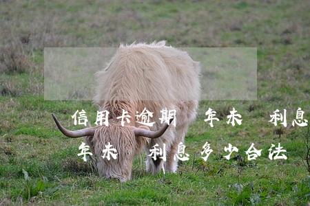 信用卡逾期兩年未還利息多少 信用卡逾期兩年未還利息多少合法