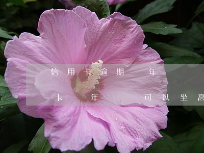信用卡逾期兩年沒還會郵到郵局嗎-欠信用卡兩年沒還可以坐高鐵嗎