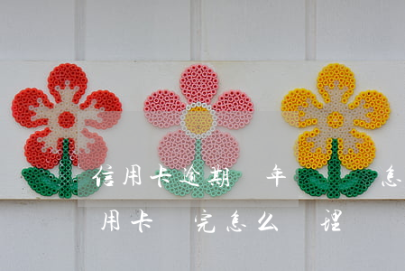 信用卡逾期兩年沒錢還怎么辦(逾期幾年的信用卡還完怎么處理)