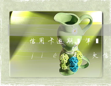 信用卡逾期兩年無(wú)力償還最壞結(jié)果-欠信用卡逾期兩年沒(méi)還