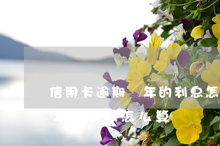 信用卡逾期兩年的利息怎么算(信用卡逾期兩年的利息怎么算)