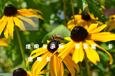 信用卡逾期兩年真能開卡嗎(有兩次逾期能辦信用卡嗎)