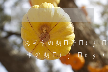 信用卡逾期兩年經(jīng)偵立案 信用卡逾期經(jīng)偵立案解決辦法