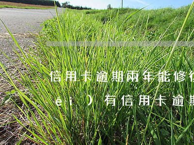 信用卡逾期兩年能修復(fù)嗎 有沒(méi)有信用卡逾期兩年的