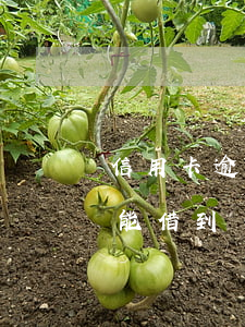 信用卡逾期兩年能借到錢嗎(信用卡逾期兩年能借到錢嗎)