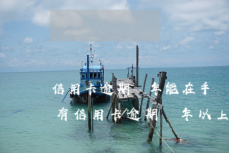 信用卡逾期兩年能在手機(jī)還嗎(有沒有信用卡逾期兩年以上的)