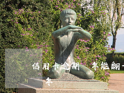信用卡逾期兩年能翻一倍嗎(信用卡3千逾期兩年)