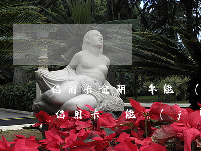 信用卡逾期兩年能進(jìn)廠打工嗎(欠信用卡還能進(jìn)廠工作)