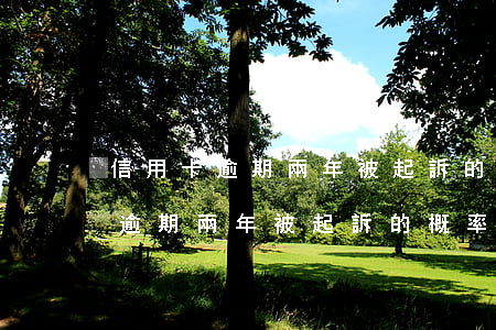 信用卡逾期兩年被起訴的概率大嗎-信用卡逾期兩年被起訴的概率大嗎知乎