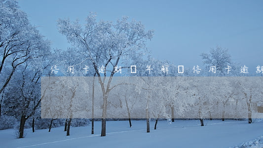 信用卡逾期兩年解凍(信用卡逾期兩年解凍)