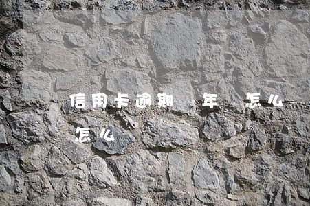 信用卡逾期兩年該怎么還(信用卡逾期兩年該怎么還)