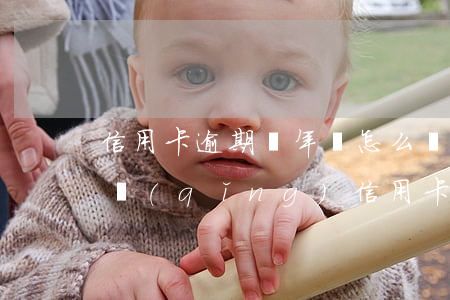 信用卡逾期兩年該怎么還款(逾期還清兩年申請(qǐng)信用卡)