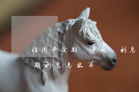 信用卡逾期兩年起訴利息怎么算(欠信用卡逾期利息怎么算)