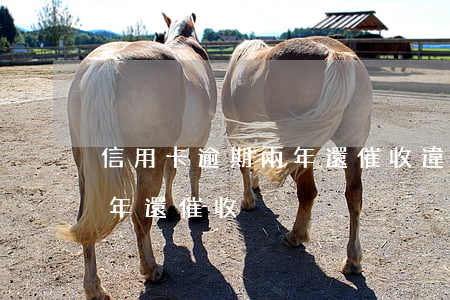 信用卡逾期兩年還催收違法嗎（信用卡逾期兩年還催收）