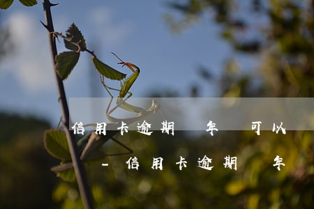 信用卡逾期兩年還可以協(xié)商還款嗎-信用卡逾期兩年還可以協(xié)商還款嗎知乎