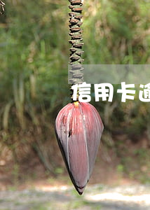信用卡逾期兩年還有催收