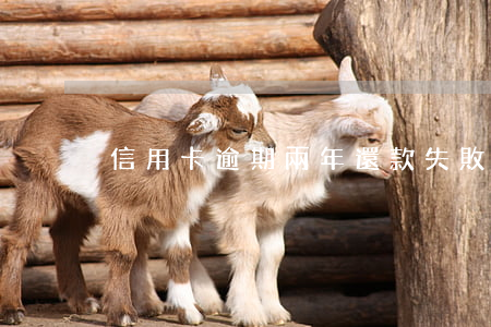 信用卡逾期兩年還款失敗