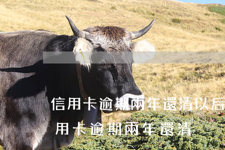 信用卡逾期兩年還清以后對孩子有影響嗎（信用卡逾期兩年還清）