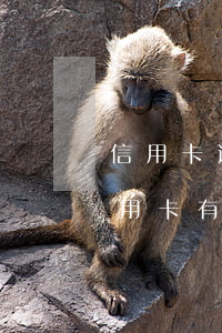 信用卡逾期兩年還能再開通嗎(逾期兩天還信用卡有沒有影響)