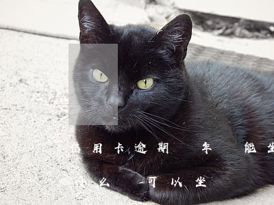 信用卡逾期兩年還能坐飛機嗎(逾期幾年了為什么還可以坐飛機)
