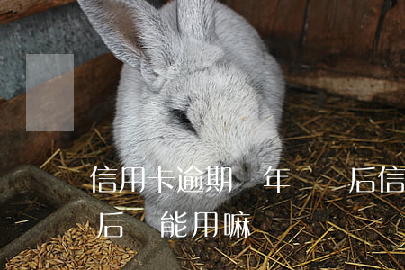 信用卡逾期兩年還錢后(信用卡逾期兩年還錢后還能用嘛)