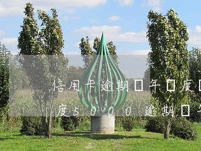 信用卡逾期兩年額度負(fù)的(信用卡額度5000逾期兩年要還多少)