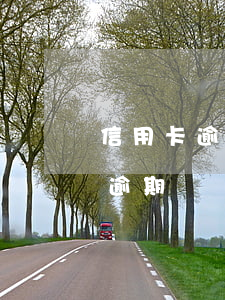 信用卡逾期兩張卡超過五萬(信用卡5萬以上逾期)