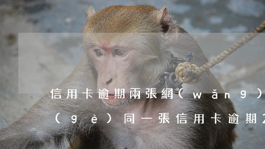 信用卡逾期兩張網(wǎng)貸逾期三個(gè) 同一張信用卡逾期2次