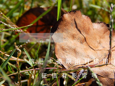 信用卡逾期兩月 信用卡逾期兩月對(duì)征信有影響嗎