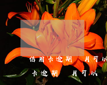 信用卡逾期兩月可以協(xié)商嗎(信用卡逾期兩月可以協(xié)商嗎)