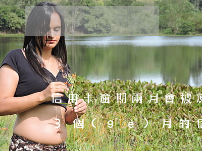 信用卡逾期兩月會被凍結(jié)嗎(逾期3個(gè)月的信用卡凍結(jié)以后還能有額度嗎?)