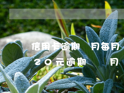 信用卡逾期兩月每月還11可以嗎-信用卡20元逾期兩個月