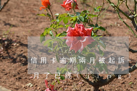 信用卡逾期兩月被起訴-我信用卡逾期三個月了已經(jīng)被起訴了怎么辦