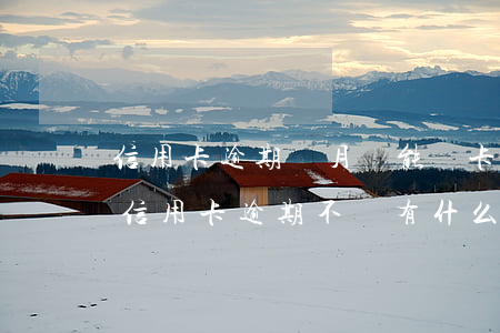 信用卡逾期兩月還能辦卡嗎(兩個(gè)月信用卡逾期不還有什么結(jié)果)