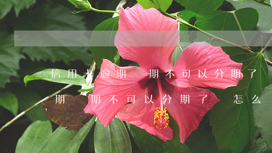 信用卡逾期兩期不可以分期了嗎-信用卡逾期兩期不可以分期了嗎怎么辦